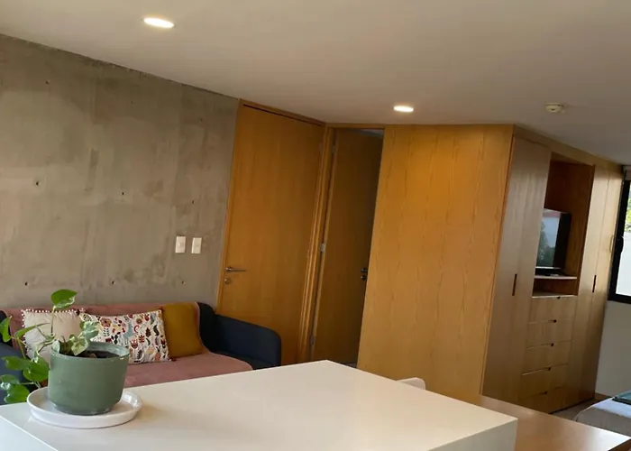 Increible Loft En Colonia Juarez Mexico City